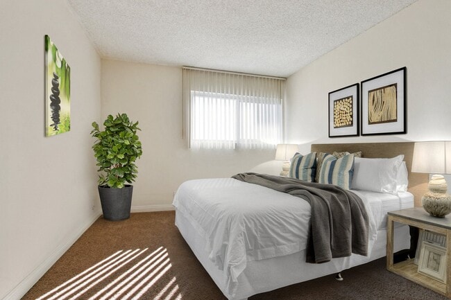 Photo - Casa De Vida