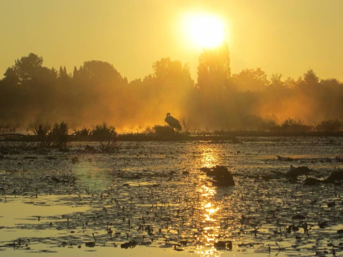 Floor Plan - Efficiency 