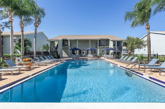 Photo - Palmera at Gandy