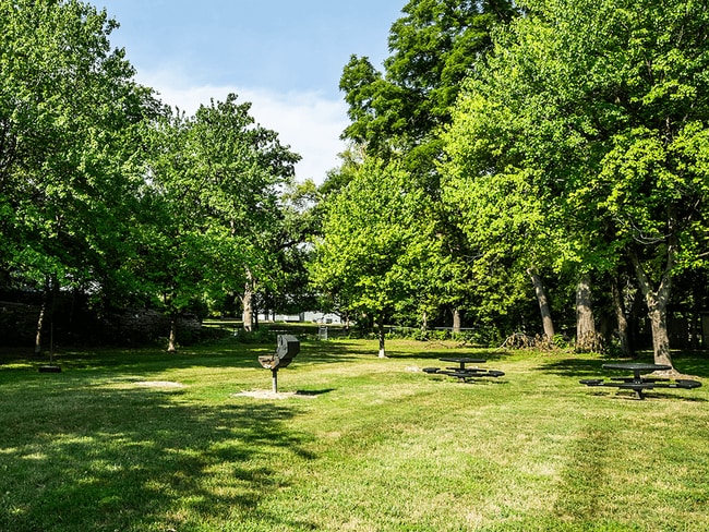 your pets will love our pet park - Park on Center