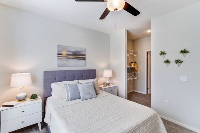 Photo - Anchor View Apartments