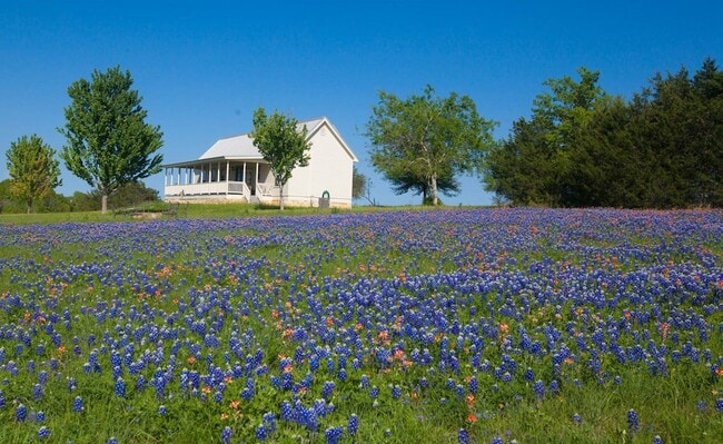 Building Photo - 3831 Meadow View Ln