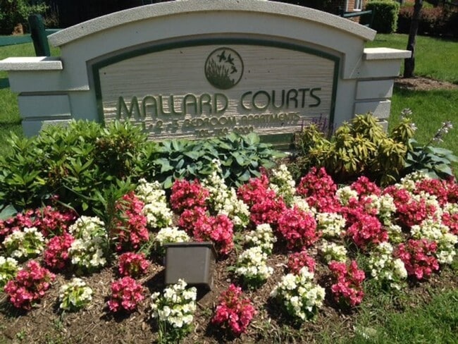 Photo - Mallard Court Apartments