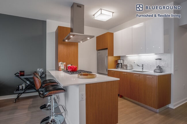 Photo - 500 N Lake Shore Dr Unit SI FL22-ID148