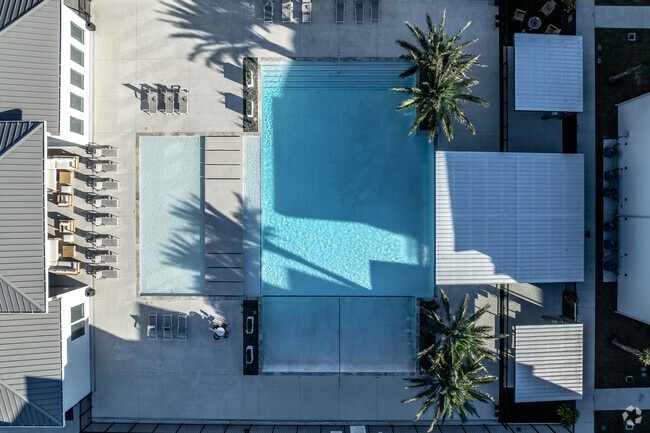 Pool Area - The Alexander