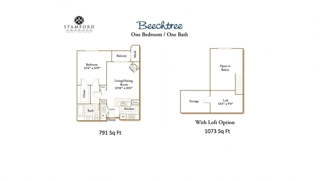 Floor Plan - 1 Bed/1 Bath-Beechtree