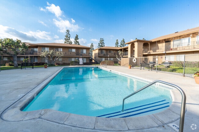 Building Photo - Los Olivos Apartments