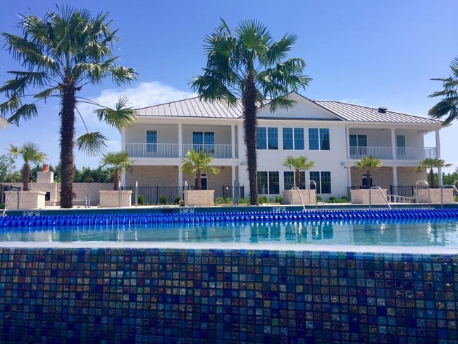 Photo - Southern Pine