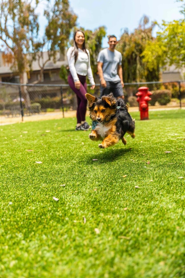 Photo - Pointe at Harden Ranch