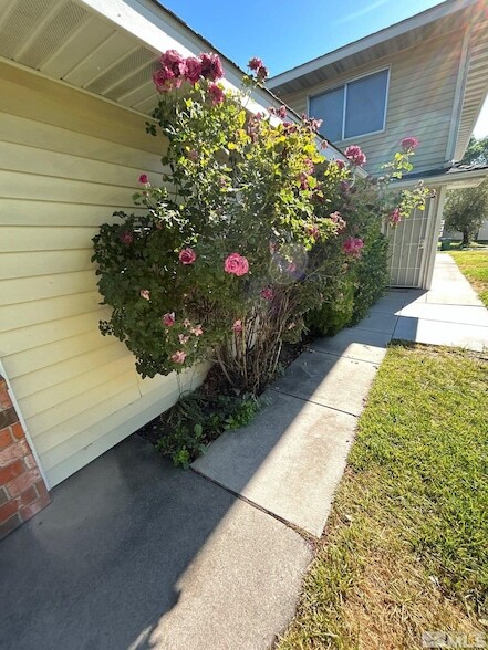 Photo - 5020 Catalina Dr