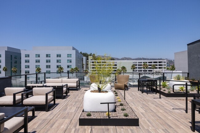 Photo - Skylar At Sunset