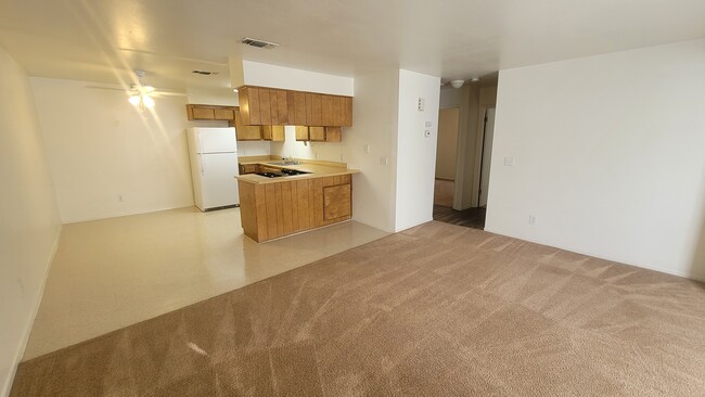 Living Room/Kitchen - Norma Street Apartments