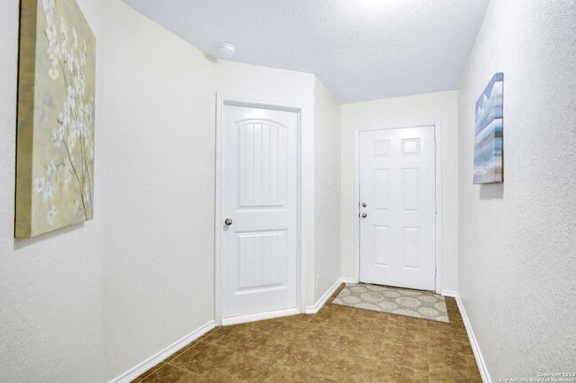 Photo - 446 Eastern Phoebe