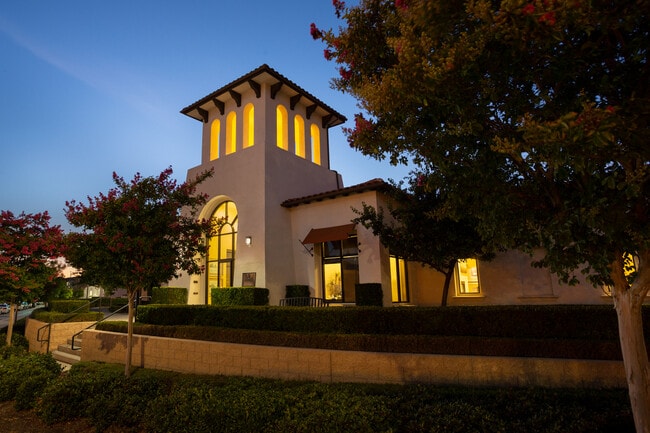 Photo - Vineyards at Paseo Del Sol