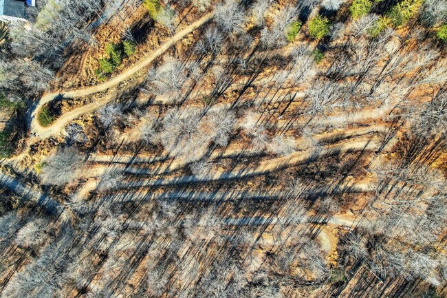 Photo - 443 Clove Rd Unit ID1366359P