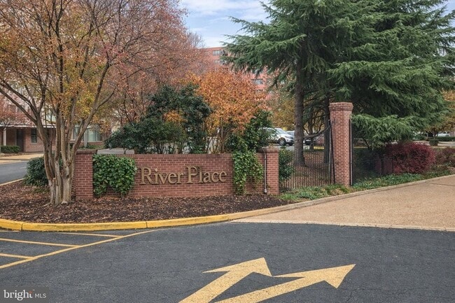 Building Photo - 1121 Arlington Blvd Unit 703