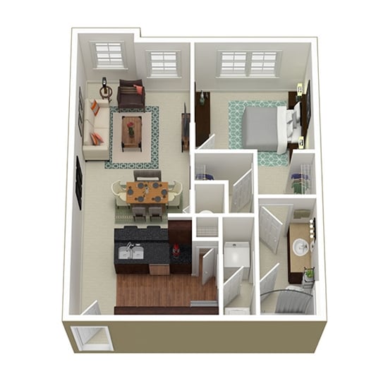 The Dogwood - The Dogwood