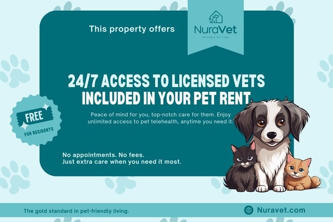 Pet Friendly - Wyndham at Hampton Apartments