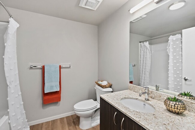 Photo - CityScape: Leasing Specials! Newly Renovated Premier Location in Bellevue, Rooftop Entertainment ...