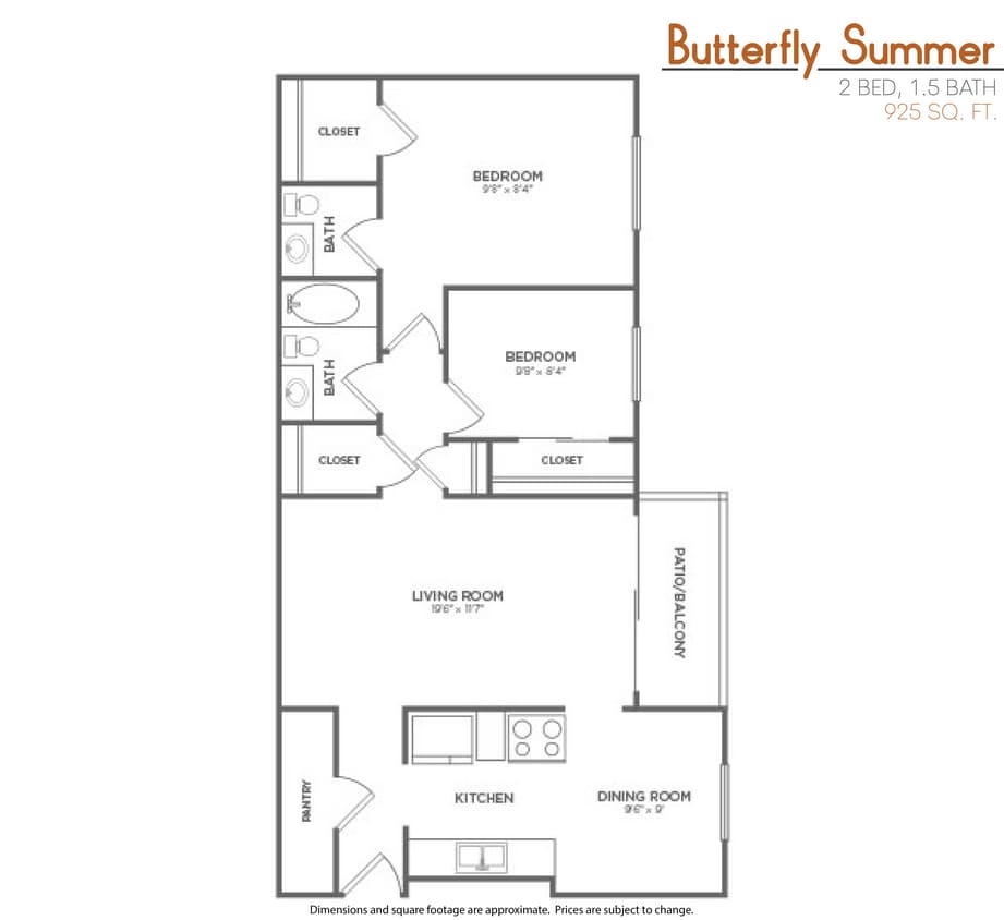 butterflysummer-01.png - Butterfly Summer