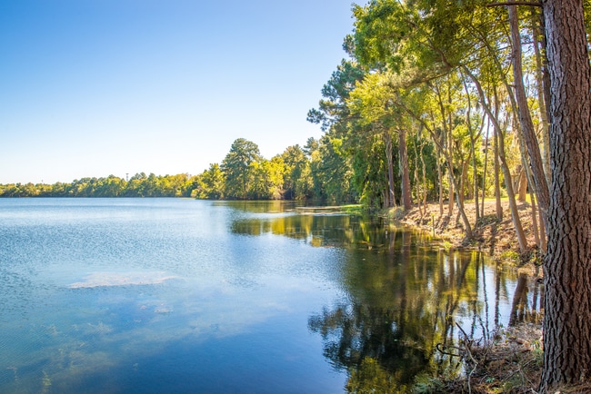 Photo - Walden at Chatham Center