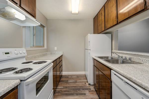 Photo - Venetian Bridges