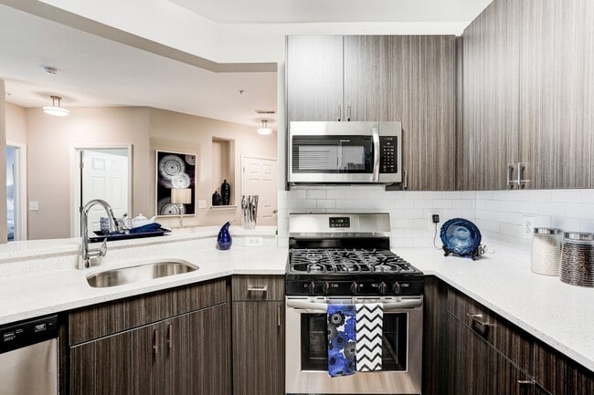 Photo - Regent's Park