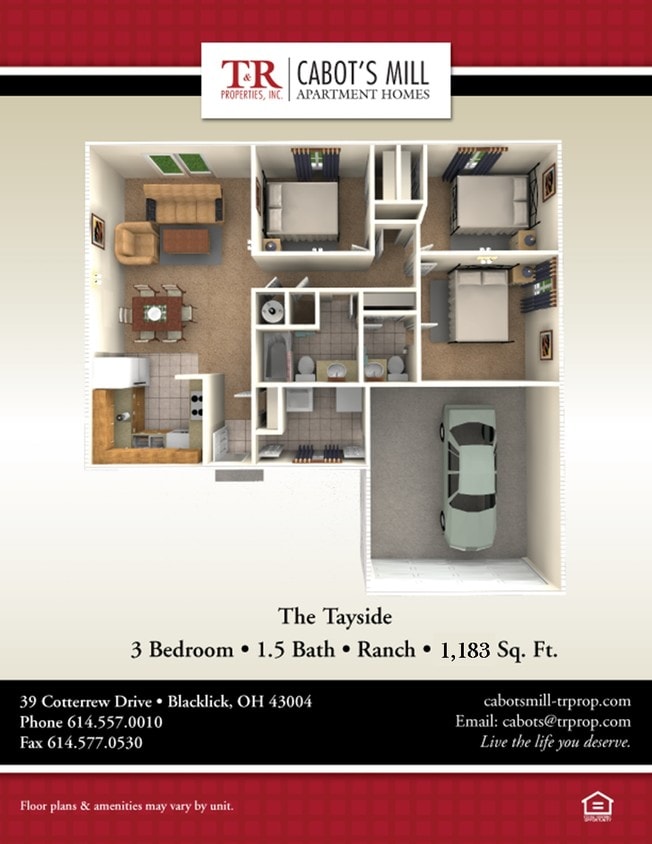 The Tayside - The Tayside