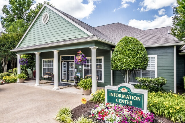 Photo - Camellia Trace