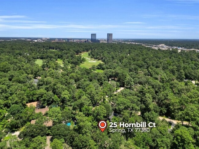 Photo - 25 Hornbill Ct