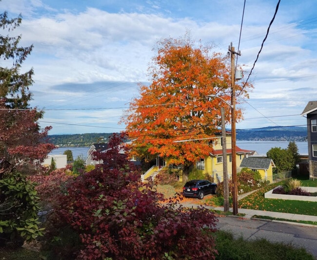 Photo - 9813 62nd Ave S Unit SI ID1310552P