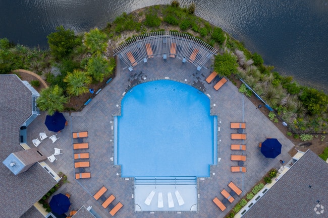 Pool - Element Carolina Bay