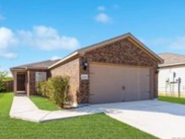 Photo - 12515 Switchgrass