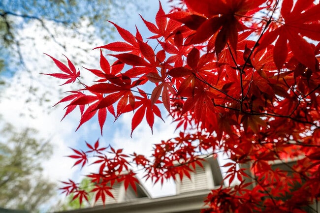 Photo - 11468 Club Dr Unit ID1300719P