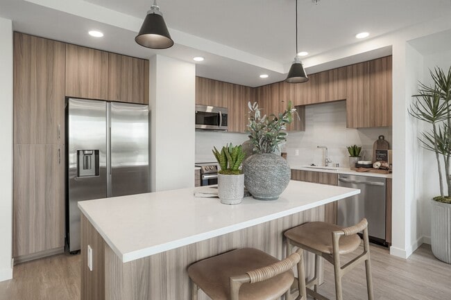 Photo - Maxwell at Bascom