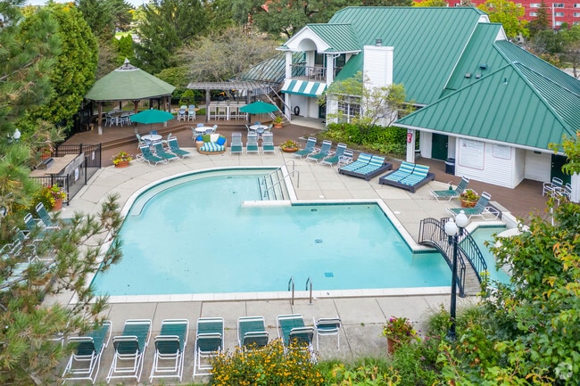 Pool - Village Club on Franklin