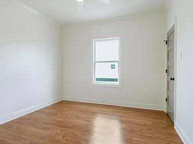 Photo - 2829 Pauger St