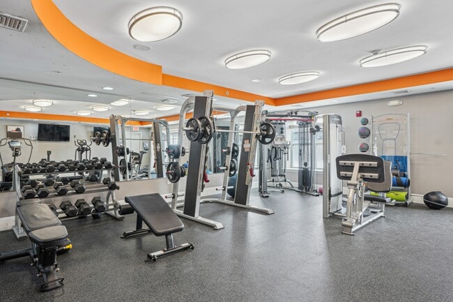 Photo - Canton Woods