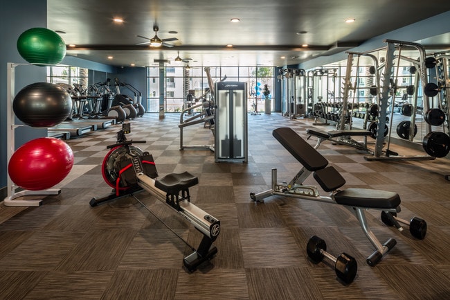 Fitness Center - One11