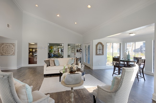 Photo - Cashel Springs