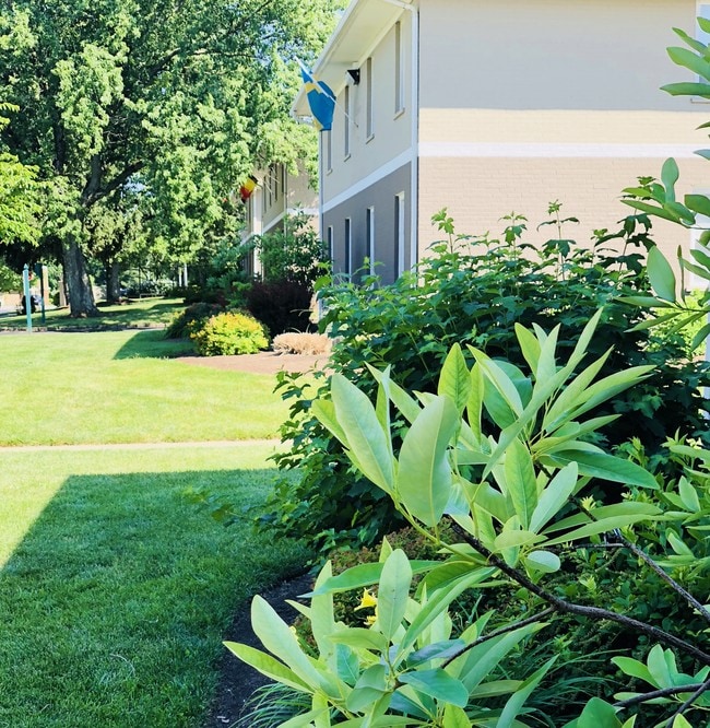 Grounds - Double Tree Apartments