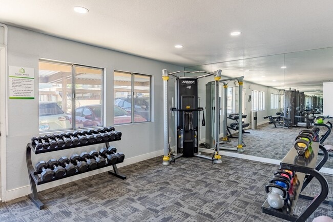 Fully Equipped Fitness Center at Sunset Winds Apartments in Henderson, NV 89014 - Sunset Winds Apartments