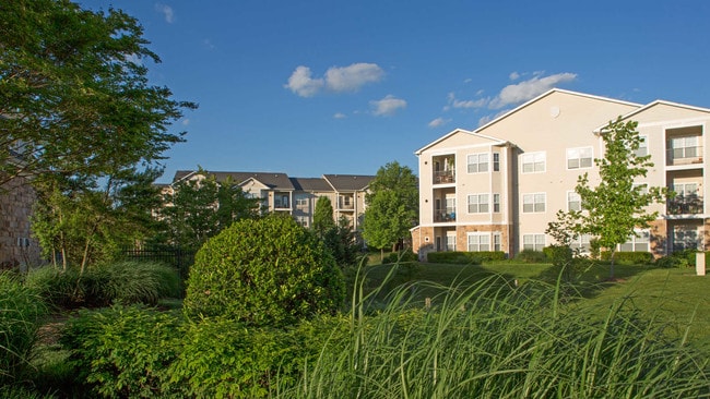 The Reserve at Fairfax Corner Apartments - The Reserve at Fairfax Corner