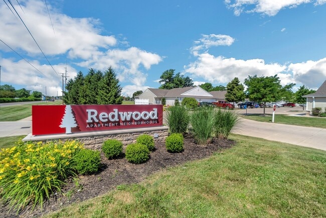 Photo - Redwood Findlay