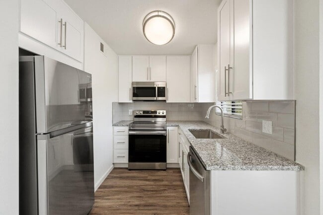 Photo - Cortland Sabino Canyon