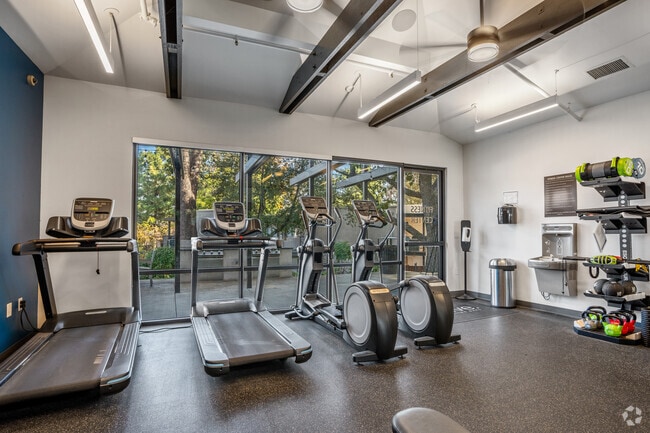 Arrive At Rolling Oaks - Fitness Center - Arrive Rolling Oaks
