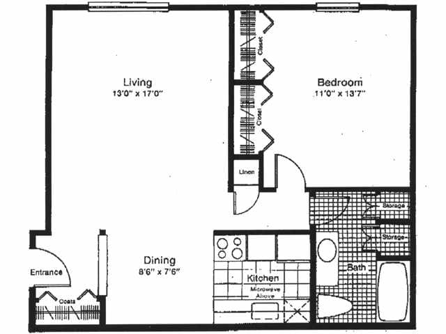 The Adams - The Adams