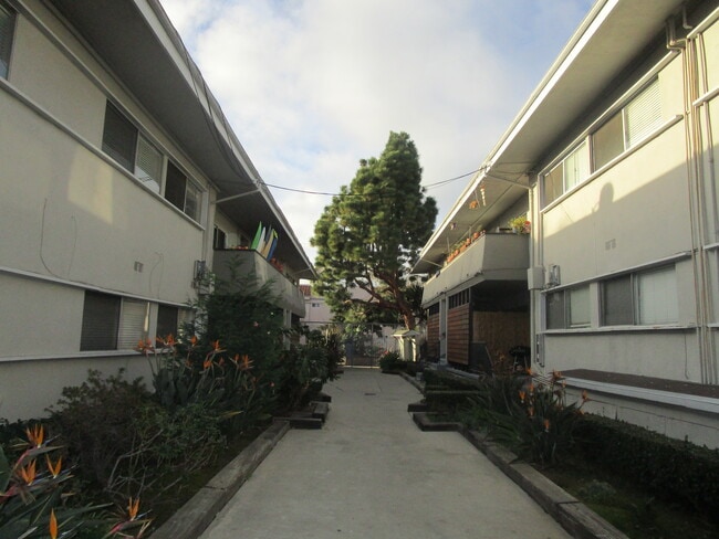 Photo - Venice Dreams