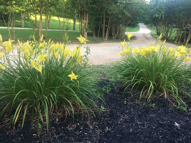 Photo - 175 Laveta Ln Unit ID1343305P