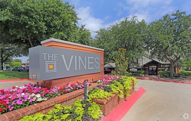 Photo - The Vines